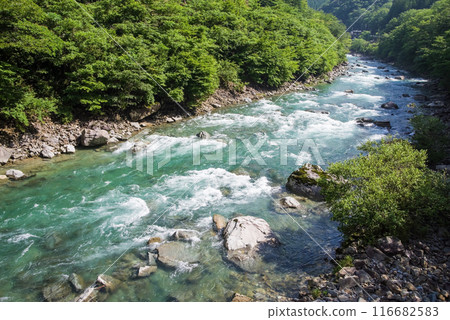 Beautiful summer stream 116682583