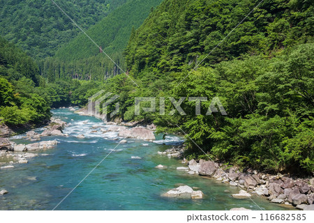 美麗的夏日山溪 116682585