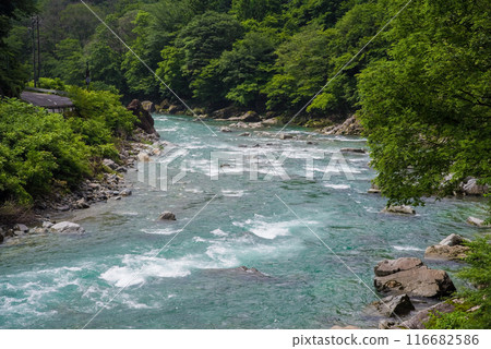 美麗的夏日山溪 美麗的夏日山溪 116682586