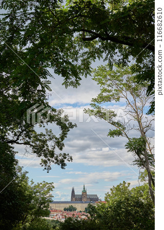 Cityscape view of Prague castle and Saint Vitus Cathedral, from the Petrin hill park in Prague, Czech Republic 116682610