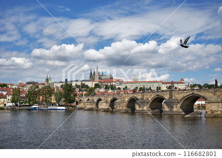 Cityscape view of Prague castle, Vltava river and Mala strana district in Prague, capital of Czech republic Cityscape view of Prague castle, Vltava river and Mala strana district in Prague, capital of Czech republic 116682801