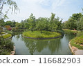 有池塘的公園 116682903