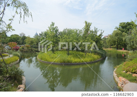 有池塘的公園 有池塘的公園 116682903