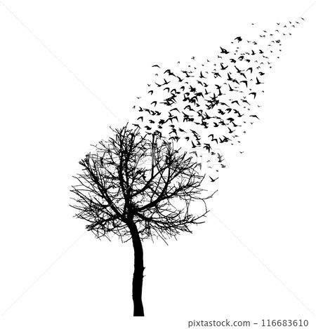 Tree silhouette and flying birds. hand drawing. Not AI Vector Tree silhouette and flying birds. hand drawing. Not AI Vector 116683610