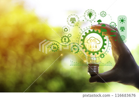 green energy concept help reduce global warming..Hand holding natural background light bulb on green leaf with clean energy icon around it. Carbon dioxide emission in industry zero carbon concept. 116683676