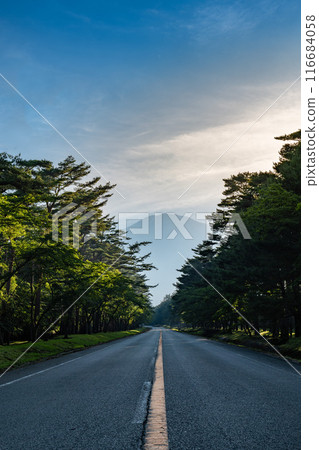 The Fuji Azami Line in Subashiri, Oyama-cho, Sunto-gun, Shizuoka Prefecture, is a road that connects Fuji Sengen Shrine and the Subashiriguchi 5th Station of Mount Fuji. The Fuji Azami Line in Subashiri, Oyama-cho, Sunto-gun, Shizuoka Prefecture, is a road that connects Fuji Sengen Shrine and the Subashiriguchi 5th Station of Mount Fuji. 116684058