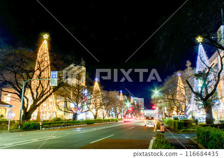 Christmas illuminations in front of Kunitachi Station 116684435