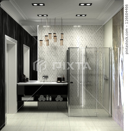bathroom, interior visualization, 3D illustration 116684466