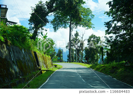 Himalayan Roadways of North Bengal with Green Nature 116684483