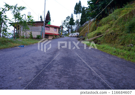 Inclined Road of Mountain at Padamchen Sikkim 116684607