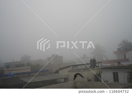 Kolkata City Scape in Foggy Morning 2 116684732