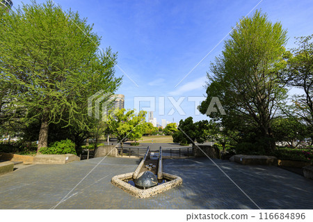 綠樹成蔭的公園 綠樹成蔭的公園 116684896