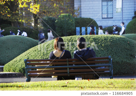 A woman's back view. She is taking a break on a bench in the afternoon sun in late autumn and enjoying a conversation. A woman's back view. She is taking a break on a bench in the afternoon sun in late autumn and enjoying a conversation. 116684905