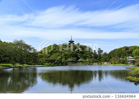 Sankeien Garden, a scenic spot in Yokohama City with fresh greenery Sankeien Garden, a scenic spot in Yokohama City with fresh greenery 116684964