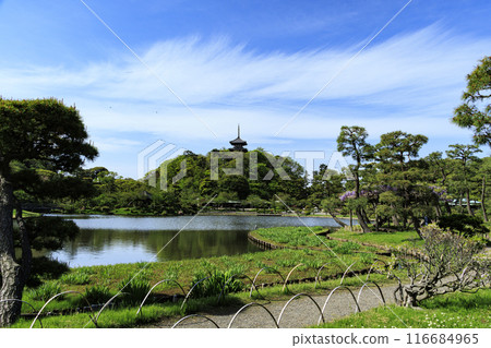 三溪園和三溪園是橫濱市清新的綠色風景區。 116684965