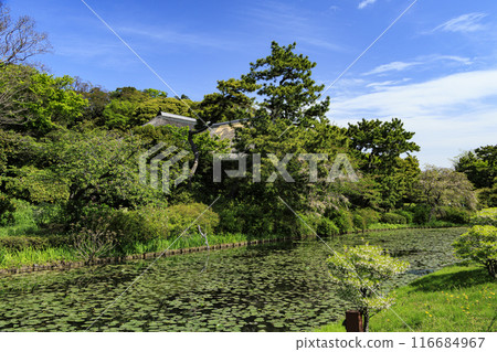 Sankeien Garden, a scenic spot in Yokohama City with fresh greenery 116684967