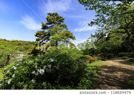 三溪園和三溪園是橫濱市清新的綠色風景區。 三溪園和三溪園是橫濱市清新的綠色風景區。 116684979