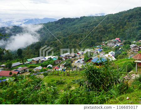 Sillery Gaon, A Offbeat Tourist Destination of North Bengal Sillery Gaon, A Offbeat Tourist Destination of North Bengal 116685017