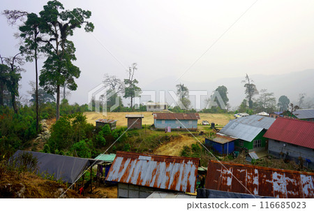 Sillery Gaon, A totally offbeat village destination of Kalimpong District, West Bengal Sillery Gaon, A totally offbeat village destination of Kalimpong District, West Bengal 116685023