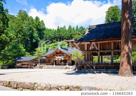 <Shimane Prefecture> Kumano Taisha Shrine, main hall and dance hall 116685263