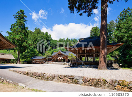 <Shimane Prefecture> Kumano Taisha Shrine, main hall and dance hall <Shimane Prefecture> Kumano Taisha Shrine, main hall and dance hall 116685270