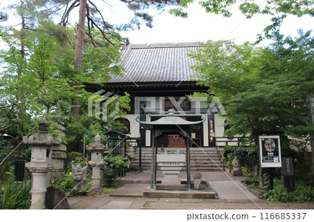 Kyozentera 116685337