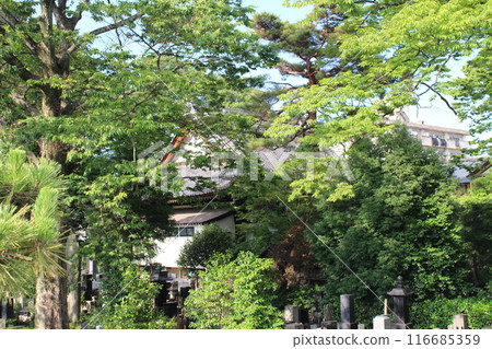 Kōzenji Kōzenji 116685359