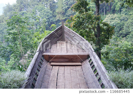 wooden boat in the forest wooden boat in the forest 116685445