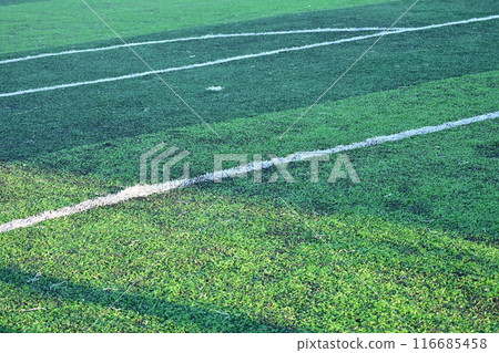 artificial green grass soccer field with white line artificial green grass soccer field with white line 116685458