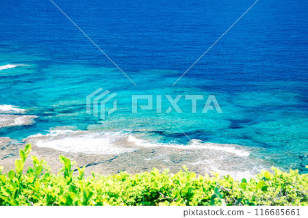 Places where the sea can be seen Places where the sea can be seen 116685661