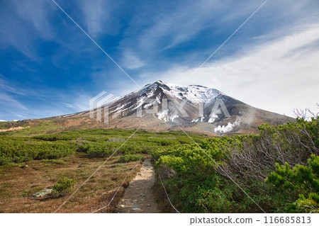 秋天的旭日 116685813