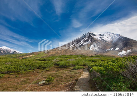 秋天的旭日 116685814