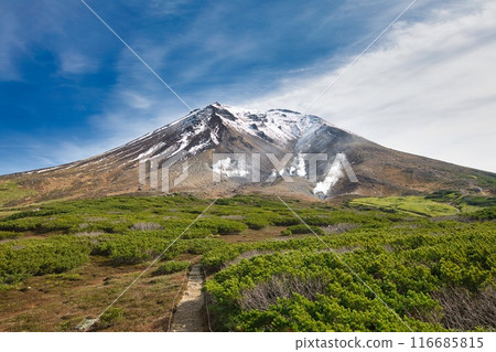 秋天的旭日 116685815
