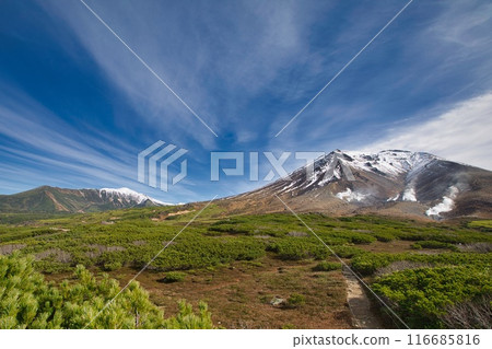 秋天的旭日 116685816