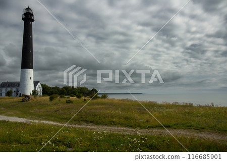 Sorve Lighthouse on island Saaremaa. Most famous lighthouse in Estonia. 116685901