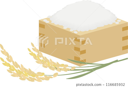 水稻穗和米飯 116685932