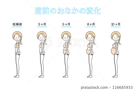 孕婦身體的變化【全身套裝】 孕婦身體的變化【全身套裝】 116685933