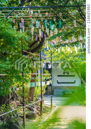 夏季半六庭園、風鈴裝飾（愛知縣半田市） 116685993