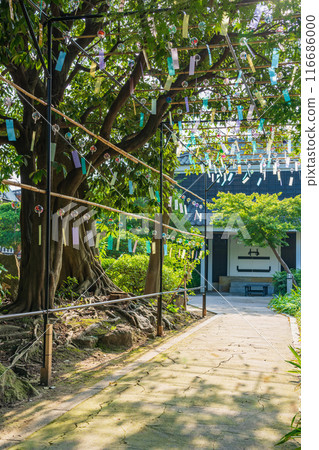 Summer at Hanroku Garden, decorated with wind chimes (Handa City, Aichi Prefecture) 116686000