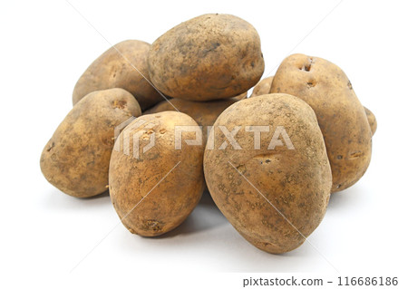 Potato (Hikaru) Potato (Hikaru) 116686186