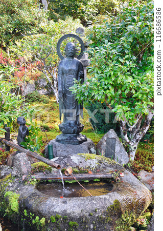 大原實光院舊立學院庭園 美麗的秋天庭園（京都市左京區） 116686586