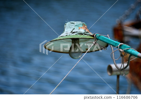 季節性電燈 116686706