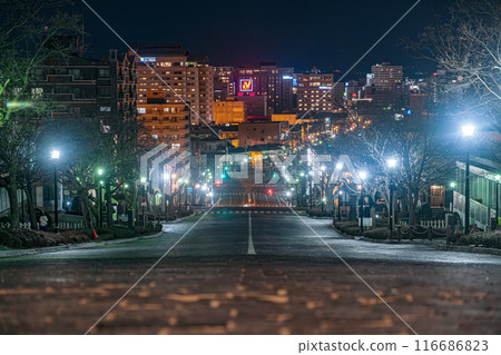 [#Hakodate] Night view from Nijukkenzaka 116686823