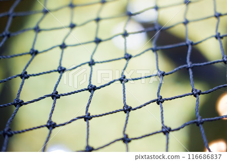 metal mesh grid in a cage metal mesh grid in a cage 116686837