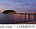 戶外燈光與竹島大橋 116686974