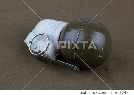 hand grenade RGN on khaki canvas hand grenade RGN on khaki canvas 116687484