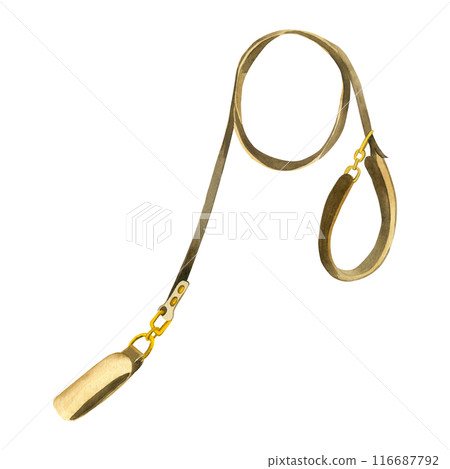 Leash for dogs. Brown dog leash with gold accents. Watercolor illustration. All objects are hand-painted with watercolors. Suitable for printing on fabric and paper, for scrapbooking and design. Leash for dogs. Brown dog leash with gold accents. Watercolor illustration. All objects are hand-painted with watercolors. Suitable for printing on fabric and paper, for scrapbooking and design. 116687792