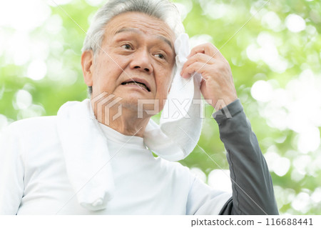 Senior man jogging, fresh greenery 116688441