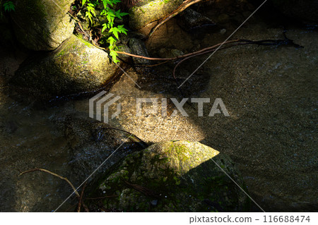 Mountain climbing_Mt. Kongo 116688474