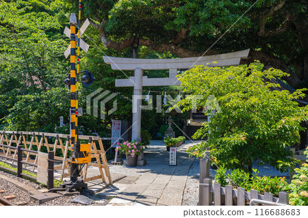鎌倉的御靈神社 116688683